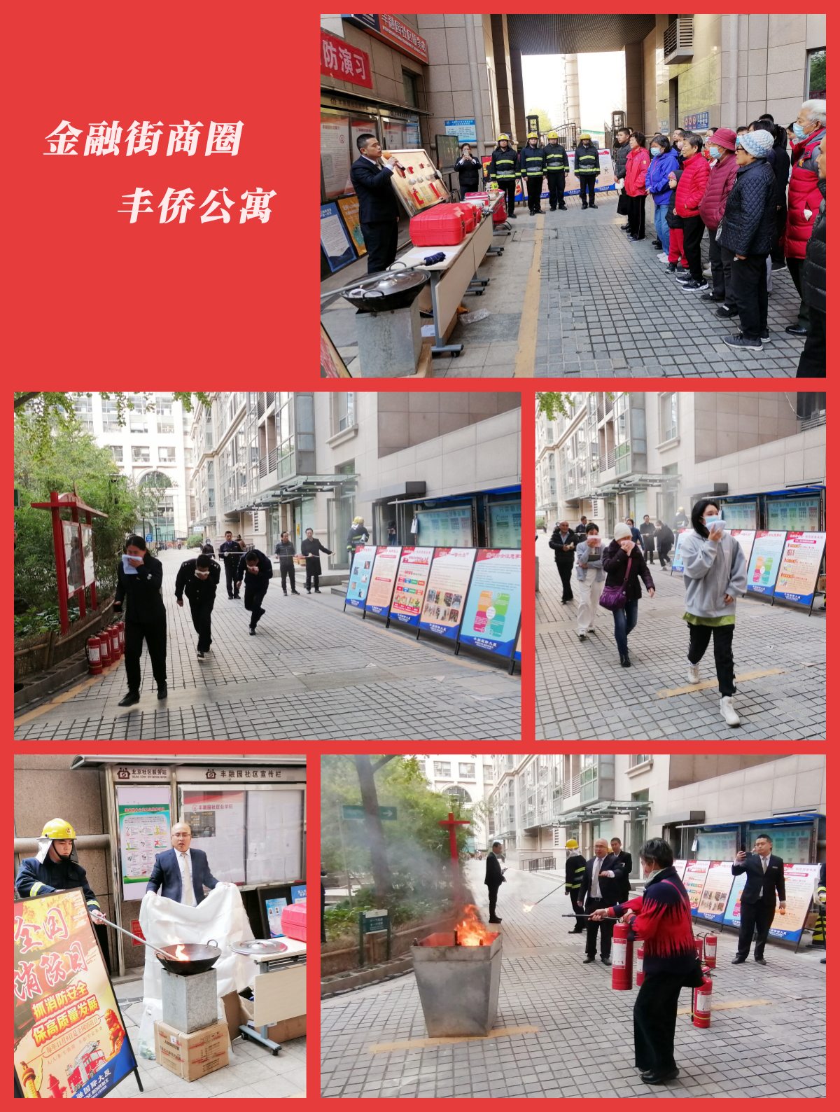 6556ff3179715.jpg